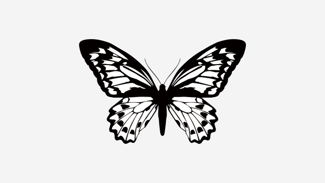 AviUtlで画像を羽ばたかせる、蝶の使い方
