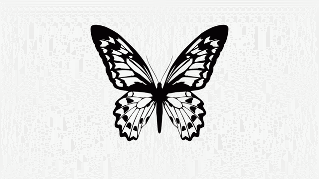 Aviutlで画像を羽ばたかせる 蝶の使い方 Flapper