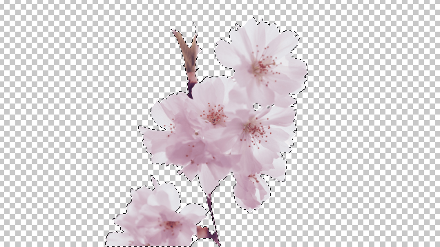 Photopeaの使い方、選択範囲